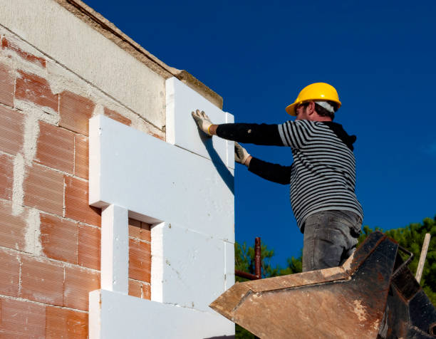 Best Insulation for New Construction  in Sandoval, IL