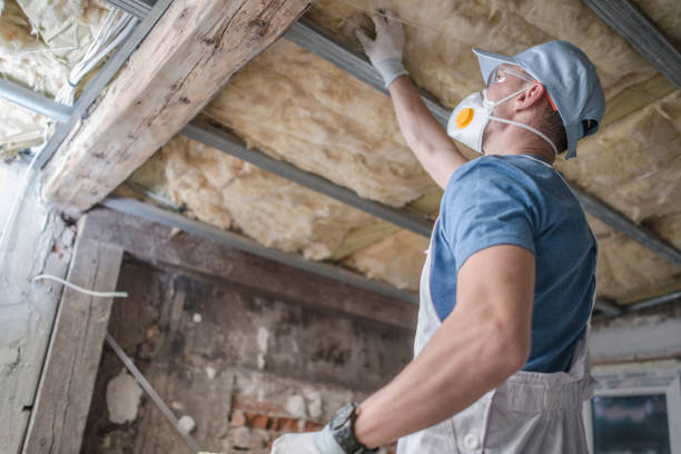 Best Insulation for New Construction  in Sandoval, IL