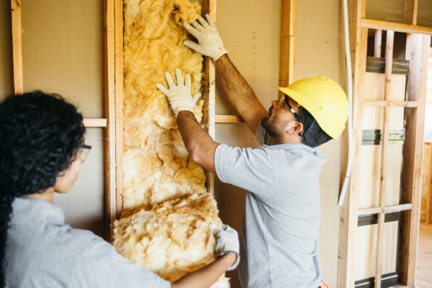 Best Attic Insulation Installation  in Sandoval, IL