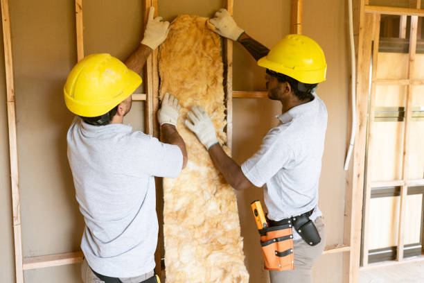 Best Insulation Contractor Near Me  in Sandoval, IL
