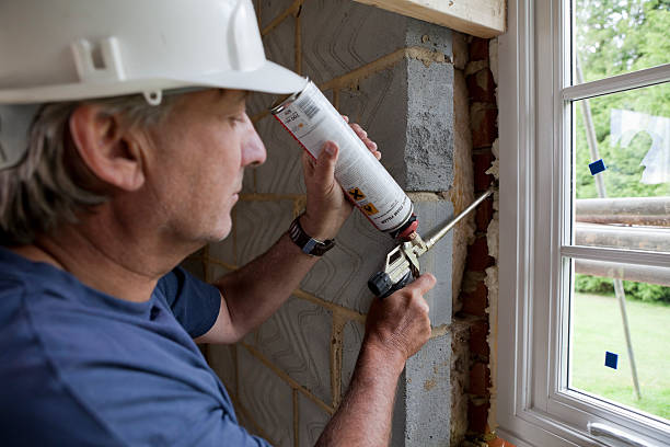 Best Insulation Removal  in Sandoval, IL