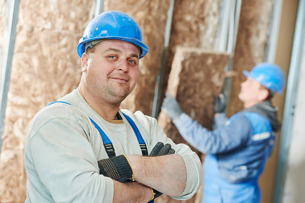 Best Insulation Inspection Services  in Sandoval, IL