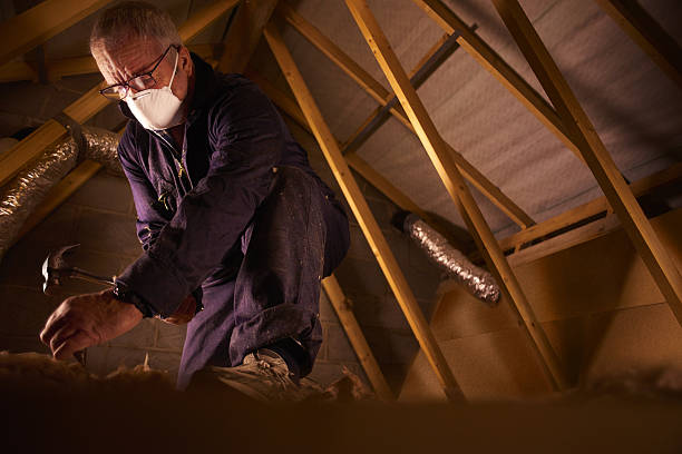 Best Home Insulation Services  in Sandoval, IL
